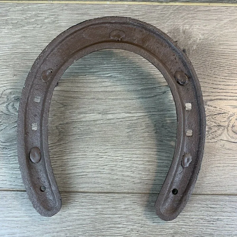 Wrought Iron Decorative Draft Horse Size Horseshoe Hook. 2 Pegs Are Broken Off.